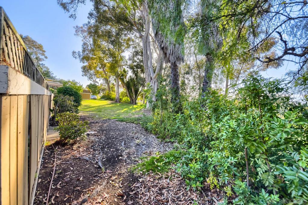 The wooded canyon directly behind the home, a green lawn edged with mature eucalyptus and dense vegetation along the fence line